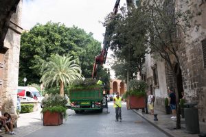 Palma y Turistas 054