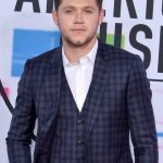 ¿Quién tuvo la apariencia más cool de alfombra roja de AMA? 7 7 Niall Horan